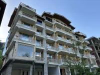 Hotel Meraki Khang Manali Hotels in Shallin