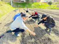 potato village house tatara