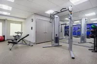 Holiday Inn Express & Suites CINCINNATI RIVERFRONT by IHG - Gym