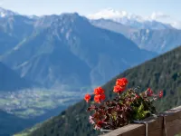 Zurschmitten 11 2.UG Süd Hotels in Riederalp