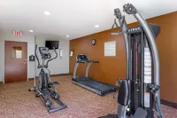 Quality Inn Raleigh Downtown - نادي رياضي