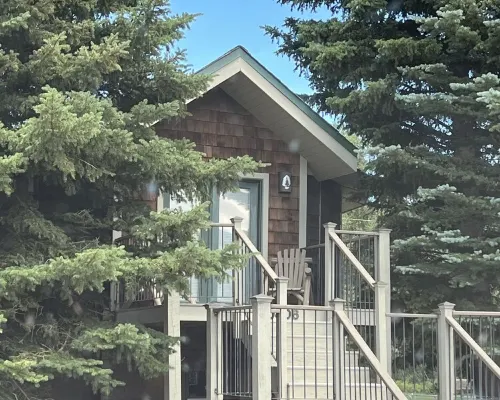 The Pinecone Cabin. Twenty minutes from Wolf Creek Pass. Hotels in South Fork