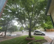 Large basement apartment, private living room, bathroom & kitchenette