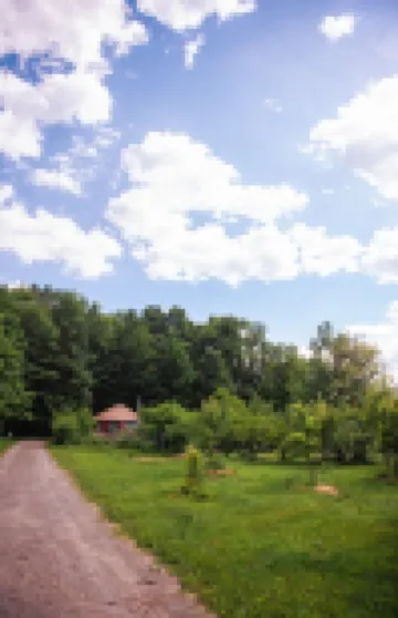 Secluded, Clean Yurt, Retreat on a Forest Farm