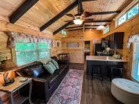 Secluded cozy tiny cabin on the water with fire pit and private dock