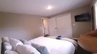 Freshly updated apartment with ample outdoor space