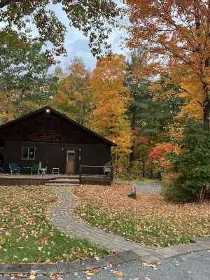 Streamside Saratoga
