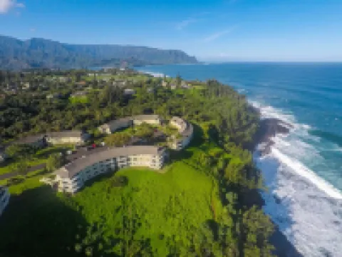 325 Night May Special. Air Conditioned Luxury Island Retreat. Newly Remodeled.