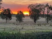 Chaffcutters Cottage - Pet friendly cottage in idyllic rural setting.
