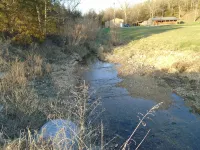 Dragonfly Creek Cabin
