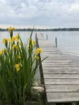 Clarklake Lakefront!  3+ Bedroom, 2 Full Bath Cottage!
