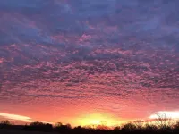 Historic Farm House on 400 Acre Cattle Farm near Clemson, SC
