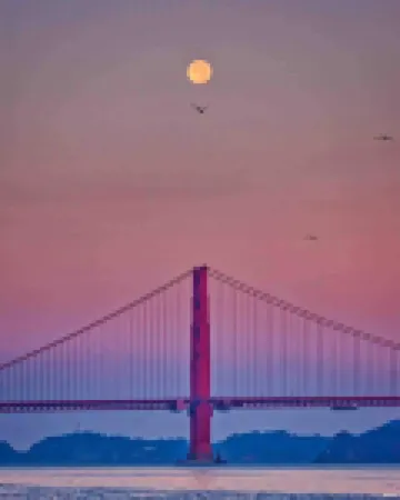 New Remodeled Studio in Oakland's Dimond District