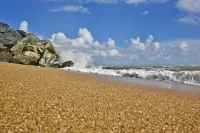 Charmante Maison 4 au Centre de L'ile D'oléron - Homestays
