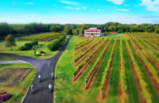 Cozy Chambourcin Cottage at Willow Creek Winery Hotels in West Cape May