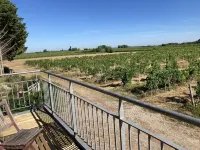 Domaine le Mathelin - Studio Montravel - Un Séjour Dans les Vignobles
