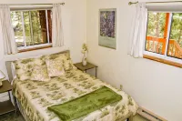 Superb Three Acre Mountain View Home for Reunions/Families