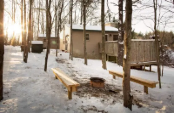 Button Buck Sleeps 4, or Rent All 4 for 20. Horseback Riding Across the Rd!