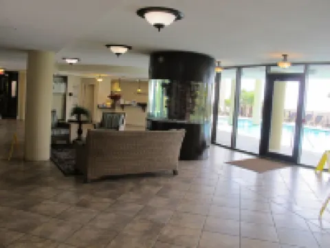 Beachfront, indoor/outdoor pools. Best view on Gulf Coast! NO FEES OF ANY TYPE.