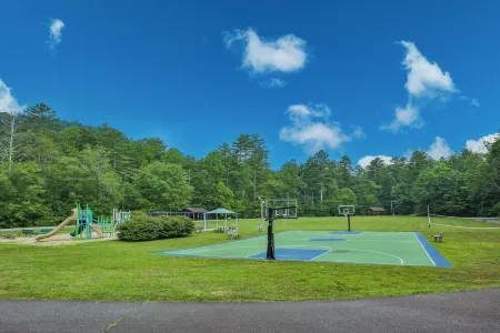 Designer 5-BDR Cabin with Big Views/Resort Access in Sapphire Valley