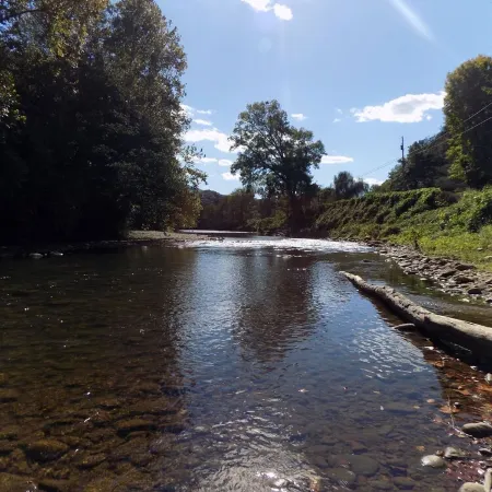 Charming house with a natural spring, fire pit, and river access