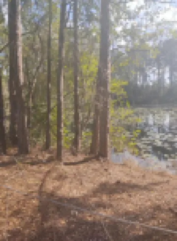 Log Cabin ,Ocklawaha FL, Close to Ocala Villages Pet Friendly ,Lake Weir