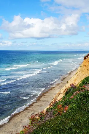 Oceanfront Dolphin Views at the Edge of the USA. 2-Bed 1-Bath Pet-Friendly.