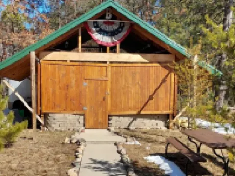 Tiny Cabin in Huron National Forest! Hotels in Oscoda County