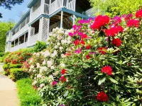 Quaint Ogunquit Condo 5 Min.Walk To Perkins Cove & Marginal Way