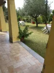 Nice two-room apartment with large garden with green lawn and vegetation