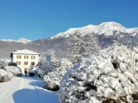 Villa Perale- Apartment in villa with park on the slopes of the Dolomites 벨루노 호텔
