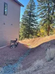 Mountain & Pond Views, Hot Tub, Loft+3BR, Stargazing, Kid + Dog Friendly