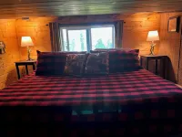 River Vista Cabin with Mountain Views Hotels in Ashford