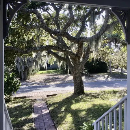 Little House, Cute, Cozy Artist Cottage