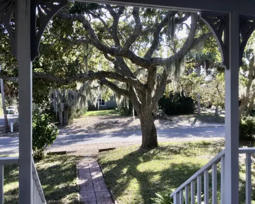 Little House, Cute, Cozy Artist Cottage Hotels in Cedar Key