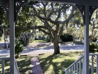 Little House, Cute, Cozy Artist Cottage Hotels near Island Arts