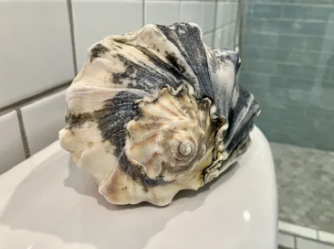 Ocean Views, New Custom Home, Direct Beach Access, CLEAN, Near Pier, + EZ Cart