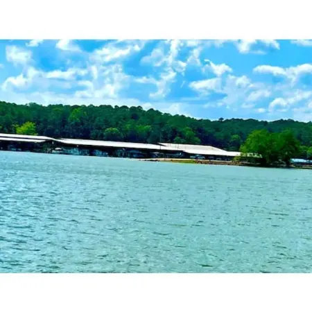 Cozy Tiny Home Cabin Near Lake Greeson & Kirby Landing – Pet-Friendly!