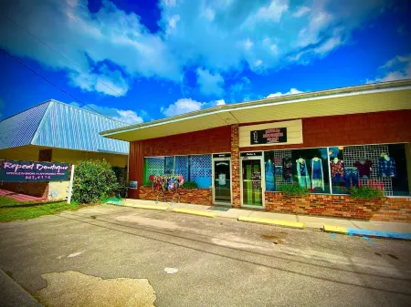 Relaxing FUN Home- short walk to Rainbow River Отели в г. Даннеллон