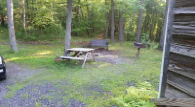 Cozy Cabin In The Woods Near Raystown Lake