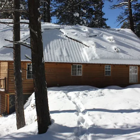 Altitude Adjustment cabin near Wolf Creek - pet friendly