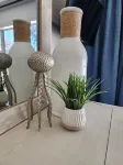 The Coconut Courtayrd-Private Heated Saltwater Pool-Minutes From Fun-Walk 2 Golf