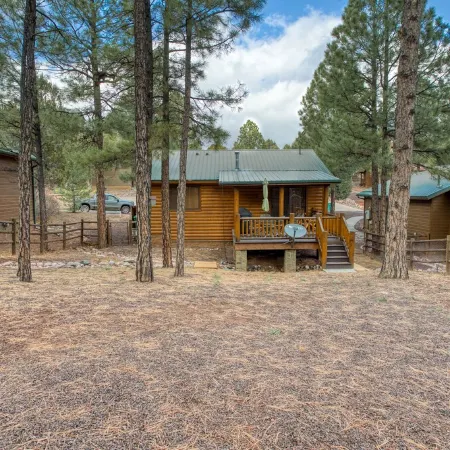 Bear Haven! 2 Bedroom Show Low Cabin!