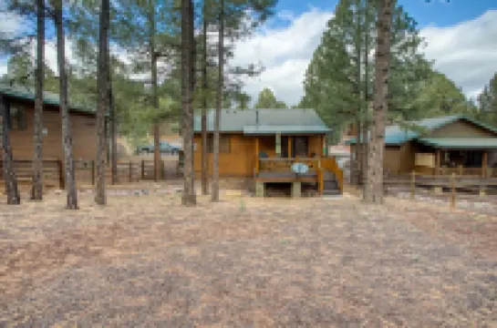 Bear Haven! 2 Bedroom Show Low Cabin!