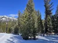 Cozy, historic cabin in the woods, X-ski in/out, minutes to shops & restaurants