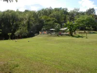 Villa in the green with private pool, garden, wi-fi for families and groups Hotels in Gallicano