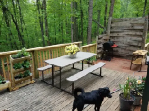 Rose's Cabin - A Rustic Pet-Friendly Cabin in the Woods