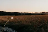 Enchanting cottage perfect for a romantic getaway