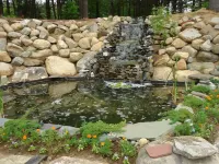 PET-FRIENDLY - Wonderfully Situated. A Truly Beautiful Setting.