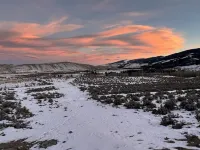 Togwotee Pass RamsHorn Peak Cabin + 15 Acres, Great View, Animal Friendly.